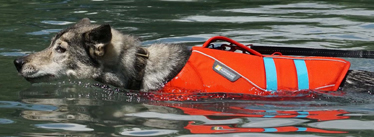 Float coat Gr&ouml;sse medium